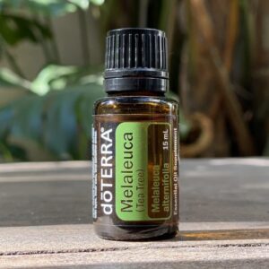 Aceite Tea tree
