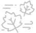 IMG_2773-copia.png